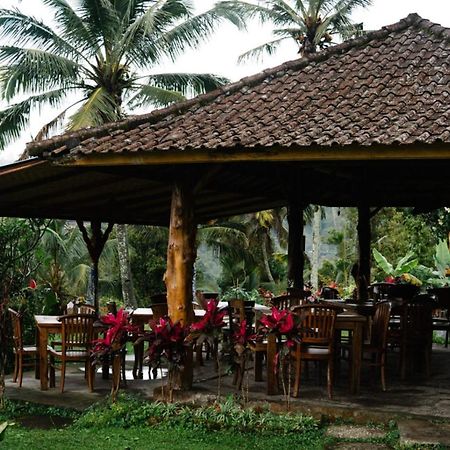 Puri Sunny Camp Villa Munduk Dış mekan fotoğraf