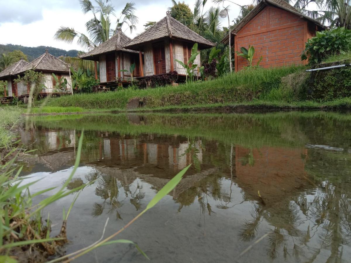 Puri Sunny Camp Villa Munduk Dış mekan fotoğraf