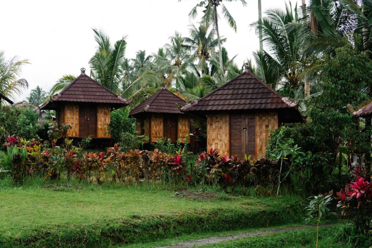 Puri Sunny Camp Villa Munduk Dış mekan fotoğraf
