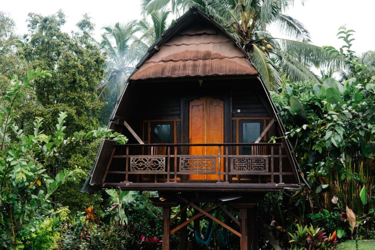Puri Sunny Camp Villa Munduk Dış mekan fotoğraf