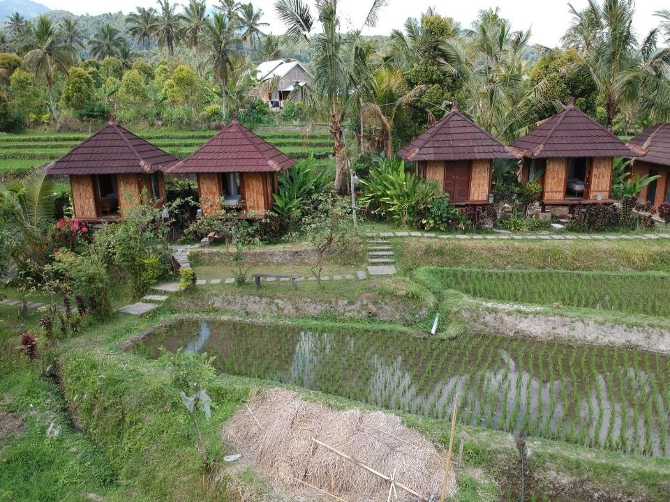 Puri Sunny Camp Villa Munduk Dış mekan fotoğraf