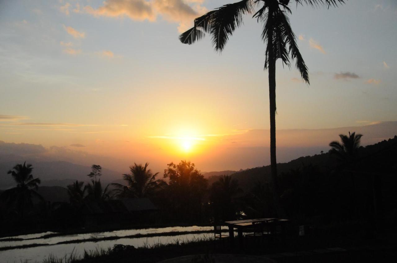 Puri Sunny Camp Villa Munduk Dış mekan fotoğraf