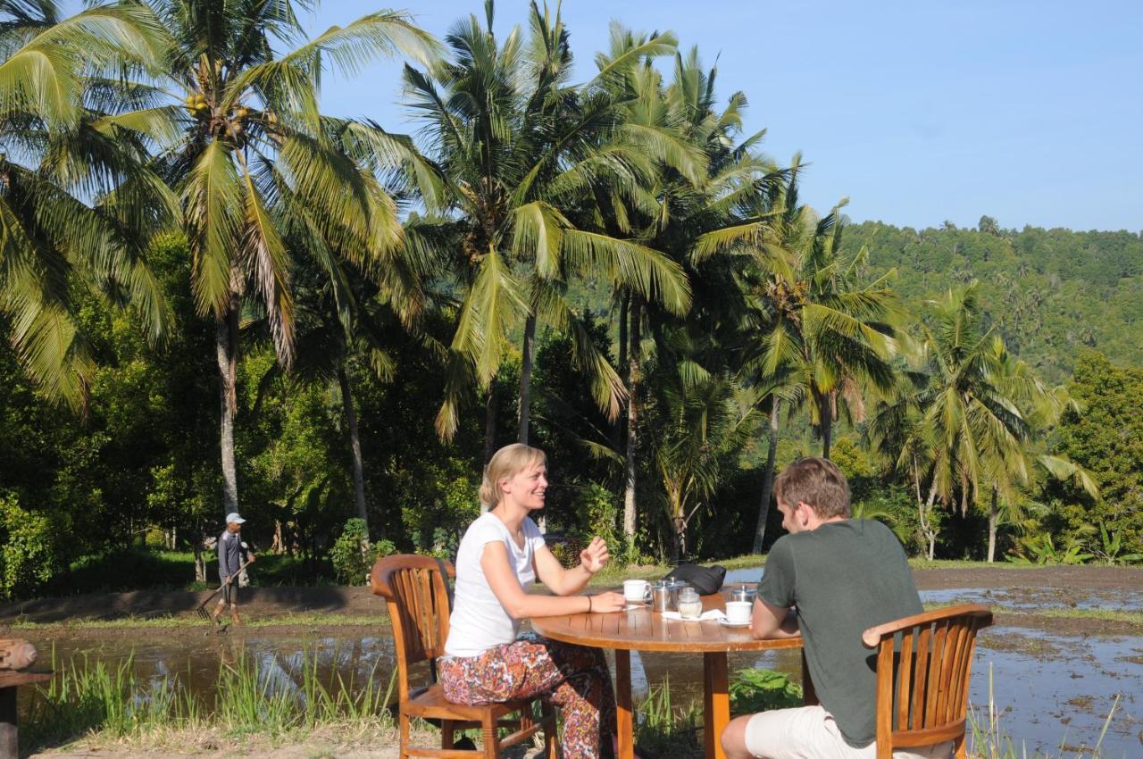 Puri Sunny Camp Villa Munduk Dış mekan fotoğraf