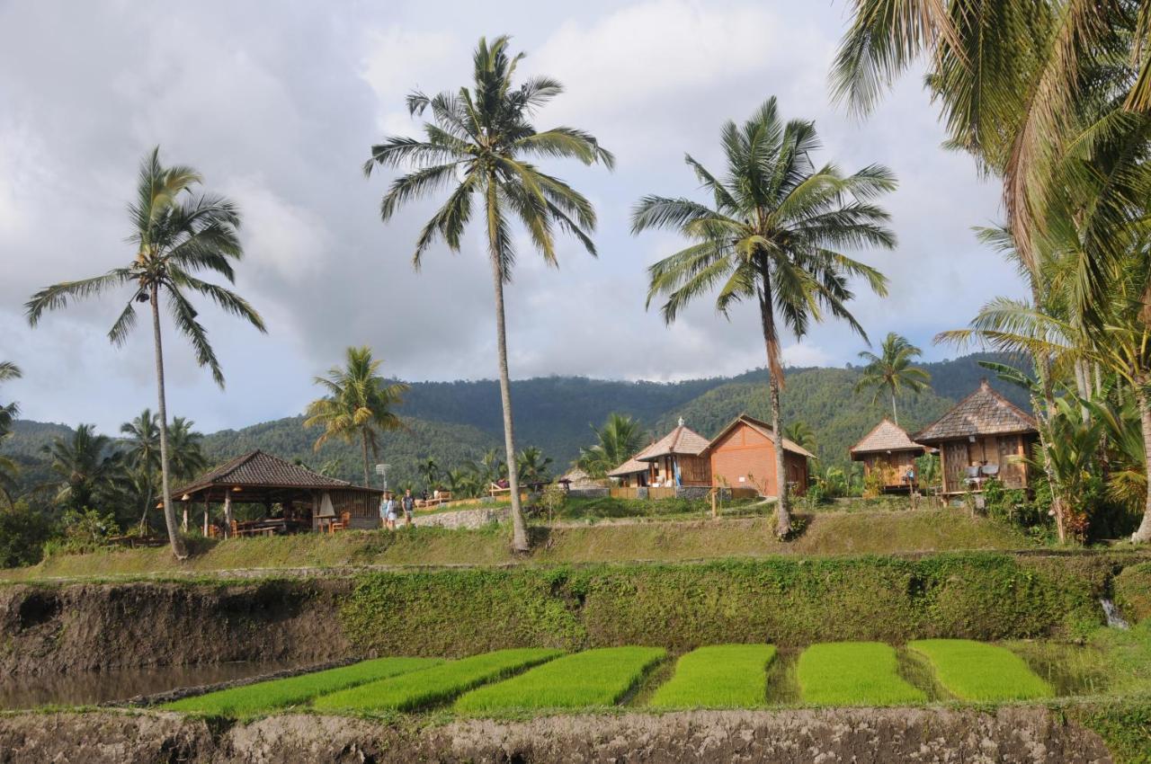 Puri Sunny Camp Villa Munduk Dış mekan fotoğraf