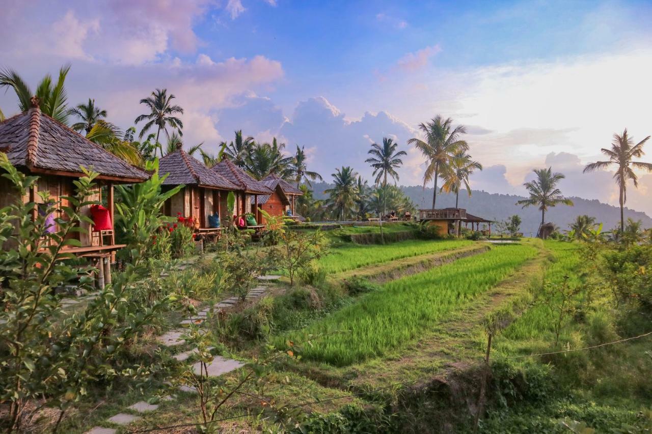Puri Sunny Camp Villa Munduk Dış mekan fotoğraf